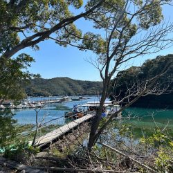 あなたに逢い鯛釣り堀