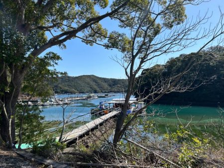 あなたに逢い鯛釣り堀