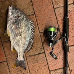 前回と同じとはならず🐟