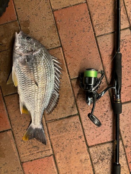 前回と同じとはならず🐟