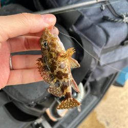 旅行のスキマ時間ライトゲーム