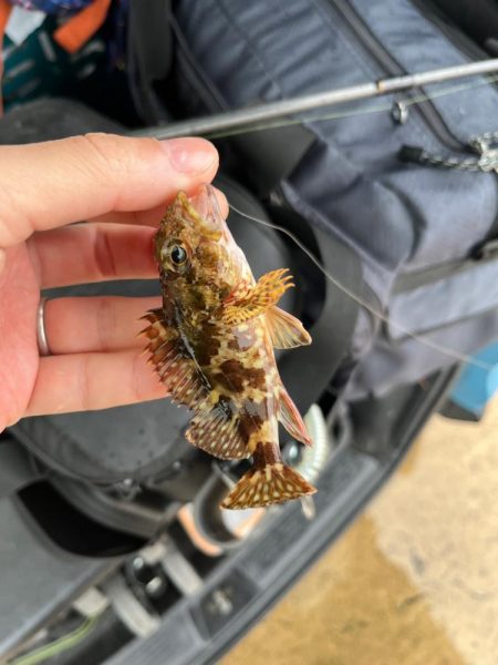 旅行のスキマ時間ライトゲーム