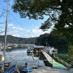 あなたに逢い鯛釣り堀