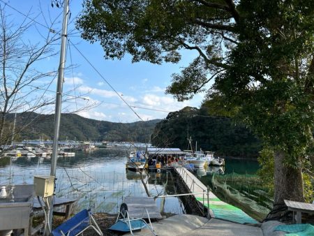 あなたに逢い鯛釣り堀