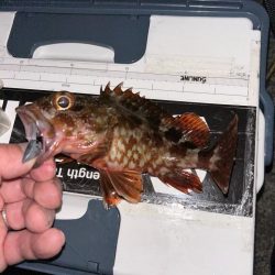 仕事帰りのちょこっとライトワインド♪