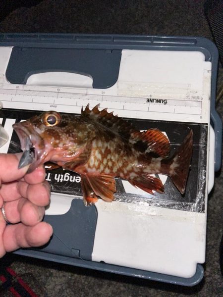 仕事帰りのちょこっとライトワインド♪