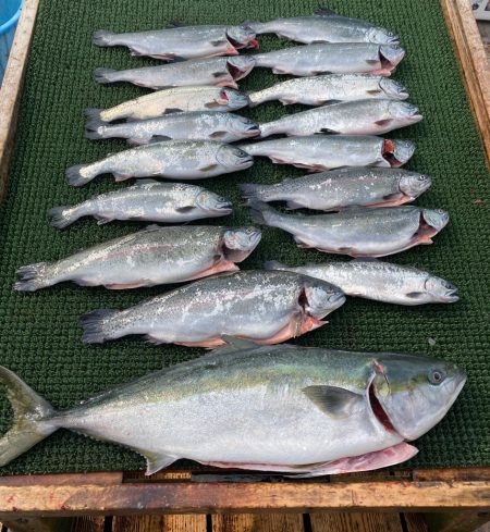 海上釣堀サーモン筏☆