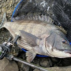 土曜日チニング