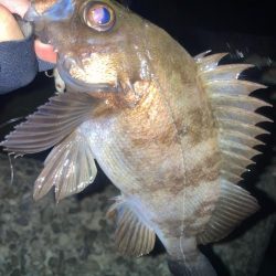 2024ライトゲーム第3戦