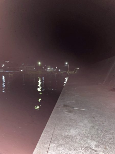 カサゴとメバル