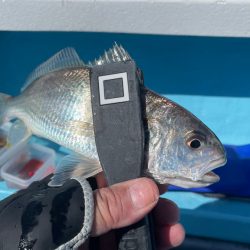 今月末で閉業との事