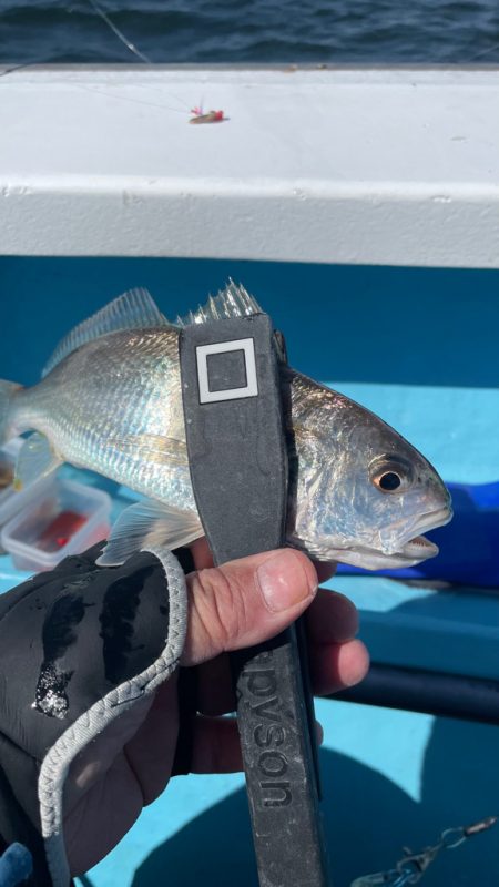 今月末で閉業との事