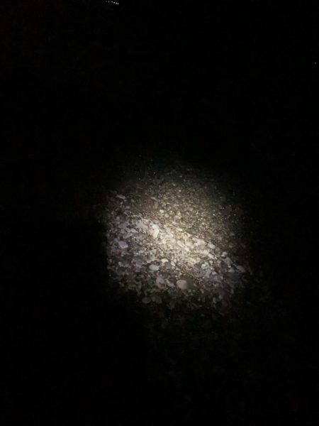 フィッシング大阪帰りのフロートアジング笑