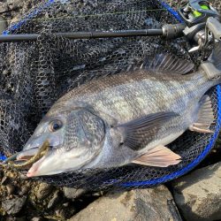 バイトは多数あれど