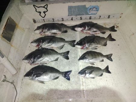 ボートチヌジギング