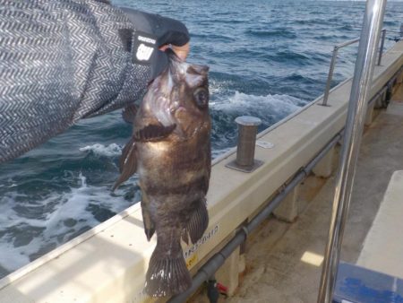 初船メバルサビキ〜盛和丸〜