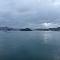 雨だけどサゴシ