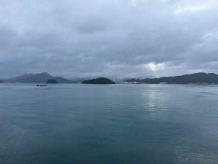 雨だけどサゴシ