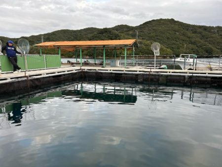 あなたに逢い鯛釣り堀　夕まずめコース