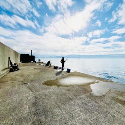 田ノ浦漁港 サビキ釣り