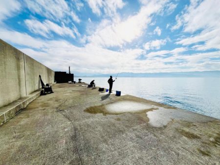 田ノ浦漁港 サビキ釣り