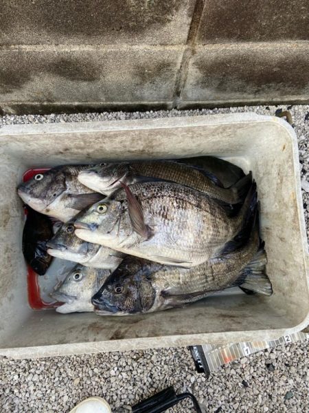 新規開拓したよ