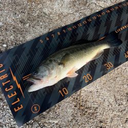 2024年ホームレイク