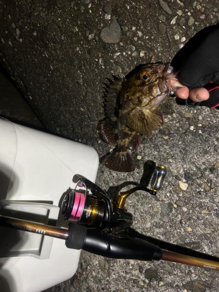 つらかったーーー