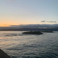 狙い通りに釣れたら嬉しいですね♪