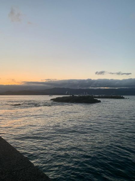 狙い通りに釣れたら嬉しいですね♪