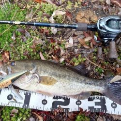 冬の水面ゲーム!