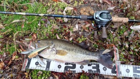 冬の水面ゲーム！