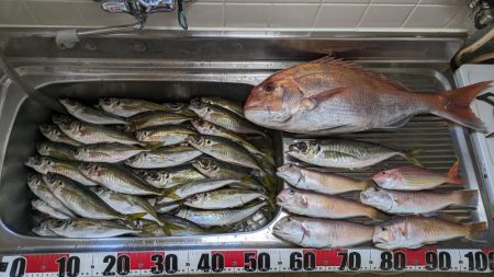 さすがに釣れすぎ