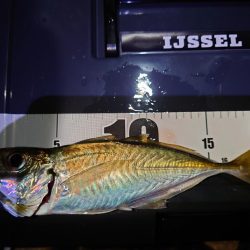 鼻水ジュルジュル罰ゲームアジング