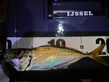 鼻水ジュルジュル罰ゲームアジング