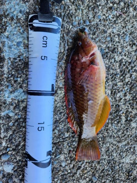 久しぶりの投稿