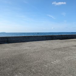 鯵大爆発釣果!!