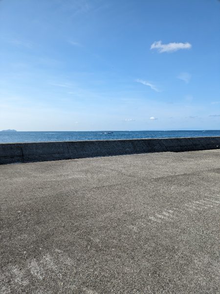 鯵大爆発釣果!!