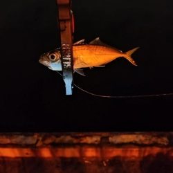 なぎさ公園リベンジ