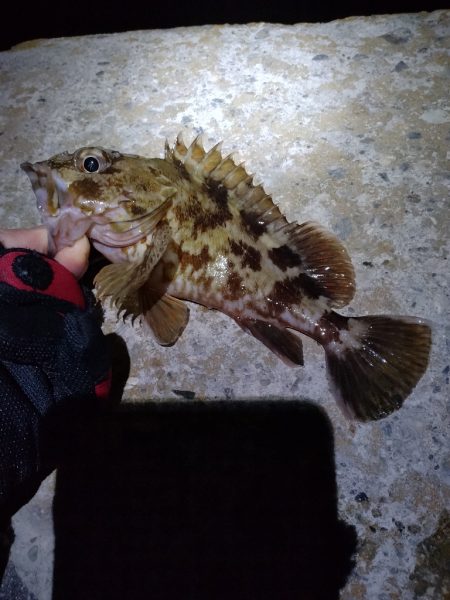 まさかここまでとは