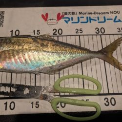 フロートアジング