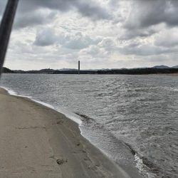 マゴチ釣れました!