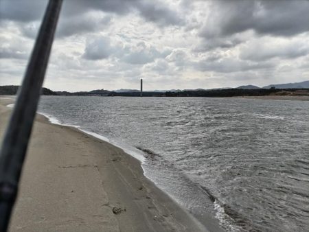 マゴチ釣れました!