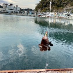 夕マヅメ/ライトルアー