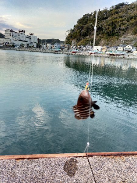 夕マヅメ/ライトルアー