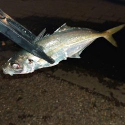 かなり久しぶりにやりましてん！