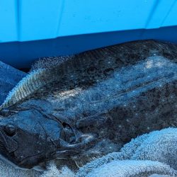 由良川河口にて