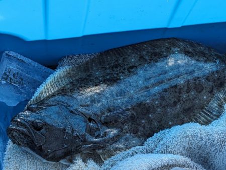 由良川河口にて