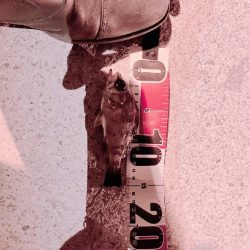 クーのぼっち釣行記!