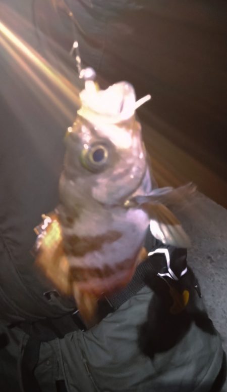 明石港東外港西防波堤灯台